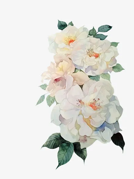 花儿免抠