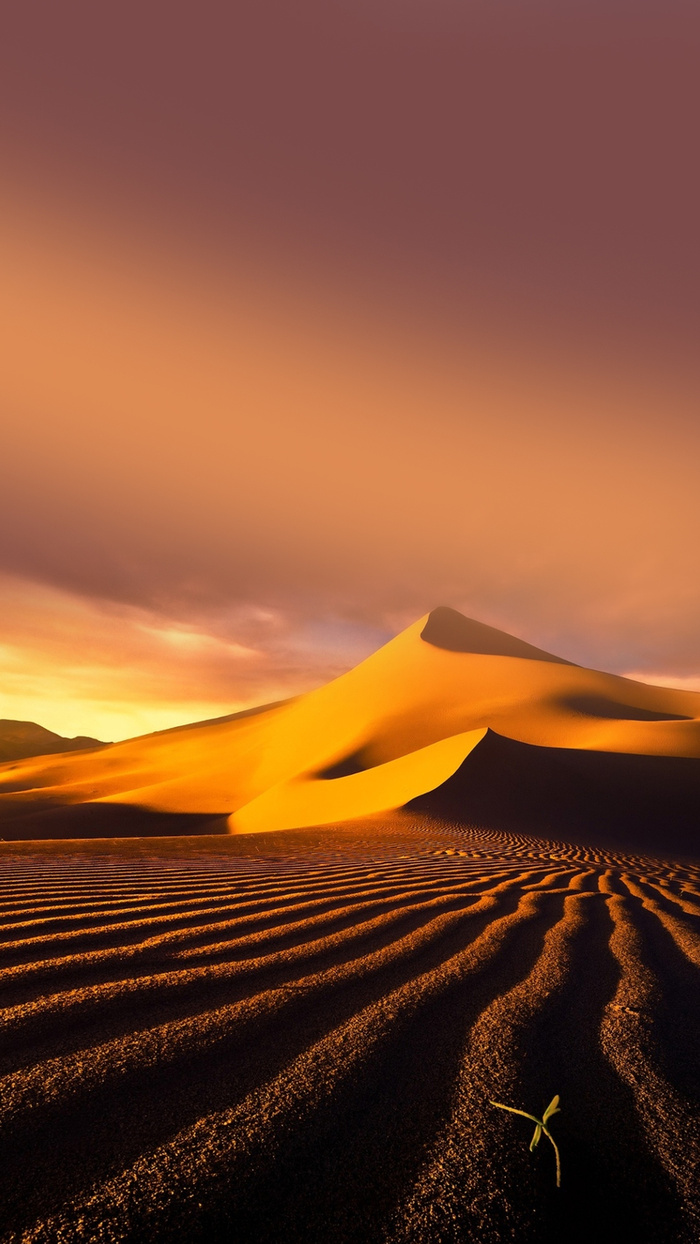 极限运动沙漠H5背景高清