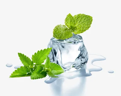 冰块叶子免抠 冰块叶子免抠