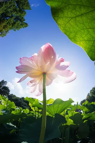 摄影H5背景高清