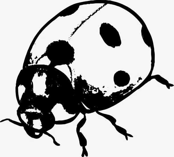 瓢虫矢量图免抠