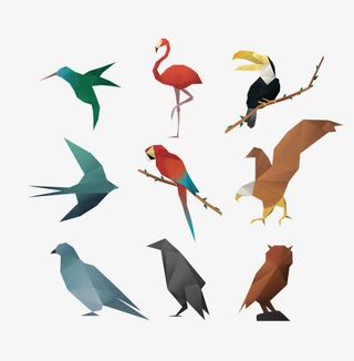 鸽子燕子乌鸦丹顶鹤多边形动物装饰免抠