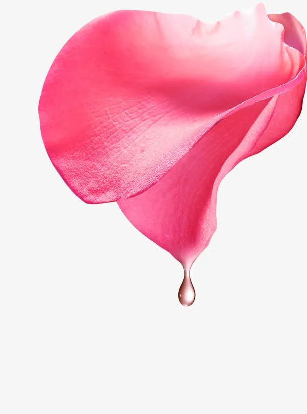 滴水诱人花瓣免抠