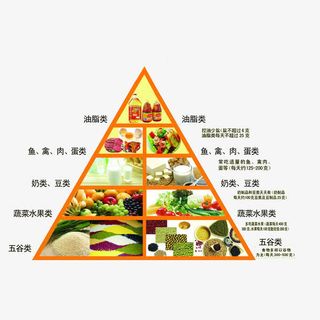 中国营养膳食金字塔免抠