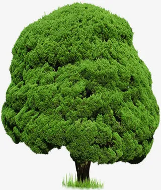 春天景观圆形大树免抠