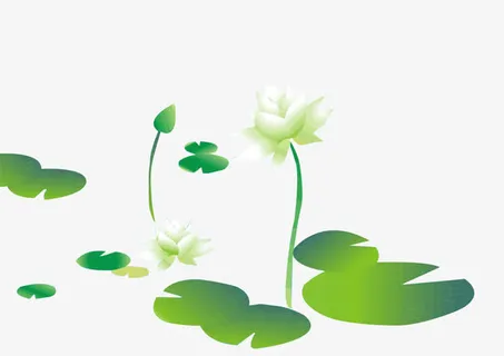荷花矢量图PNG免抠