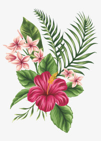 水彩花草免抠