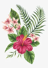 水彩花草免抠