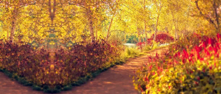 秋季秋天小路唯美背景banner