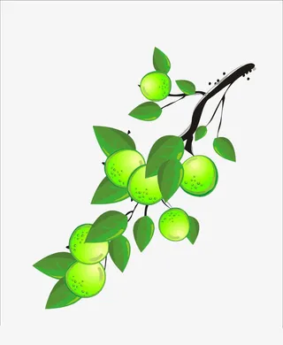 绿色手绘青梅免抠