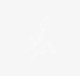 精美手绘树枝免抠