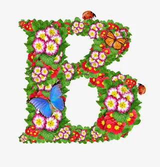 鲜花组在的字母免抠