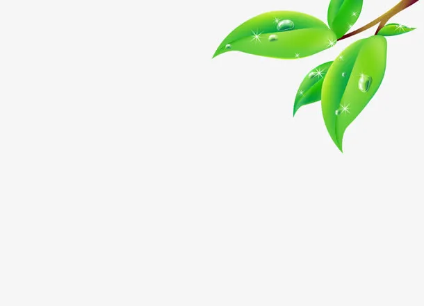绿叶免抠