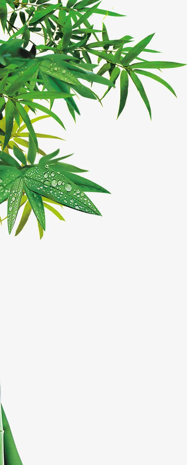 绿色竹叶主题幸福一家图片免抠