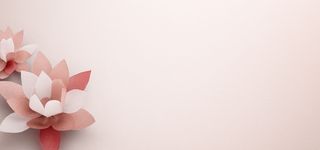 花卉背景图高清