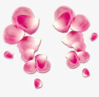 花瓣免抠