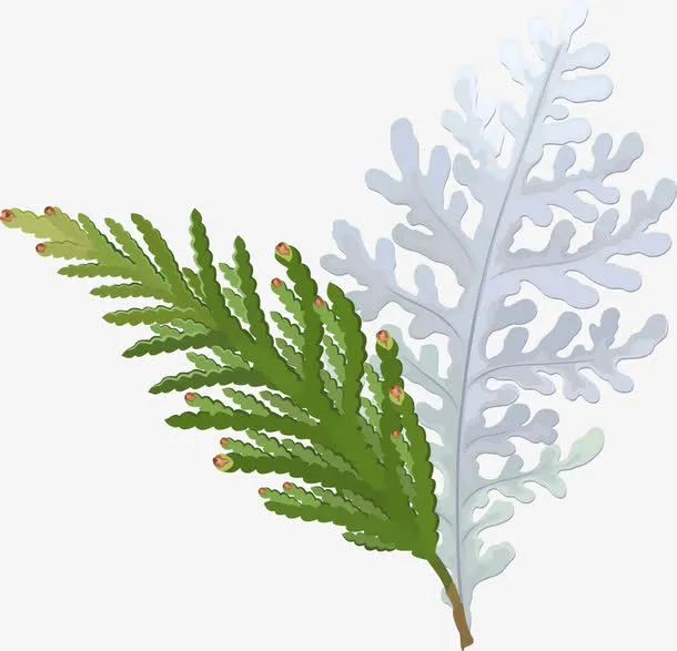 手绘叶子矢量图免抠