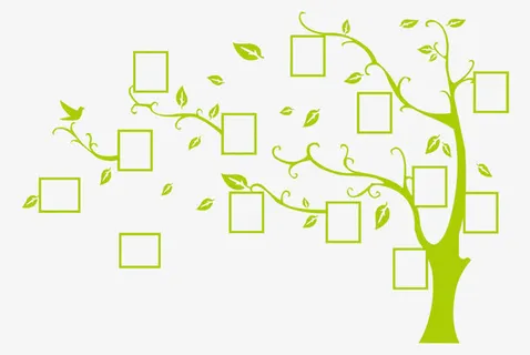 像框树矢量素材免抠 像框树矢量素材免抠