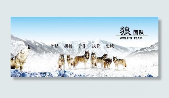狼团队雪山背景图高清