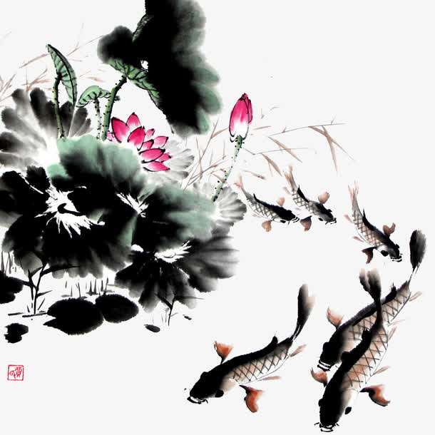 荷花和鱼免抠