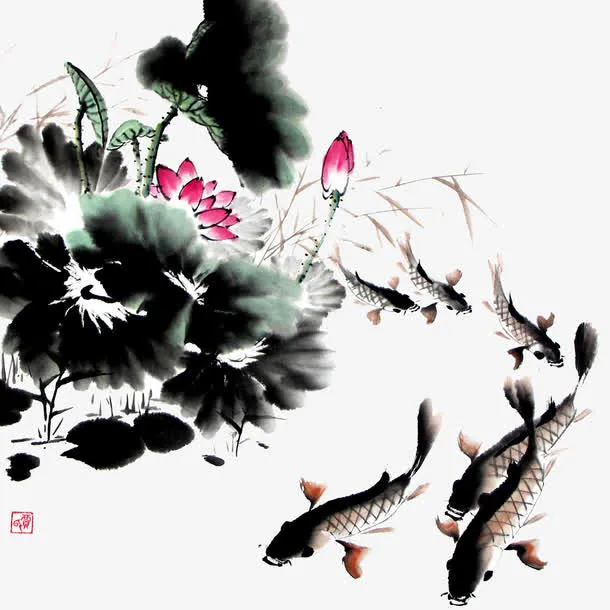 荷花和鱼免抠