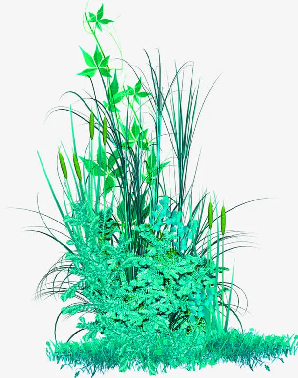 绿草免抠