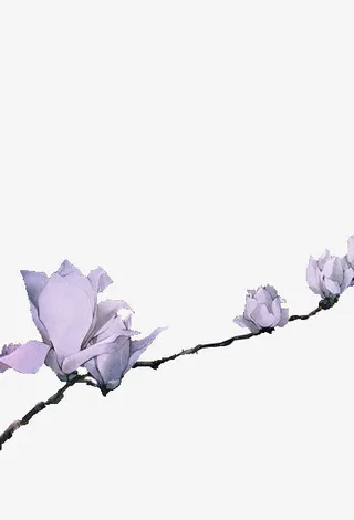 水墨花朵桃花免抠