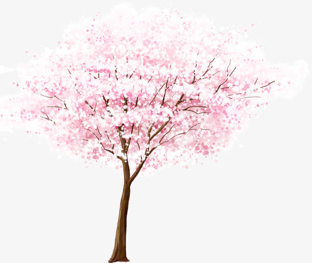 美丽的樱花树免抠