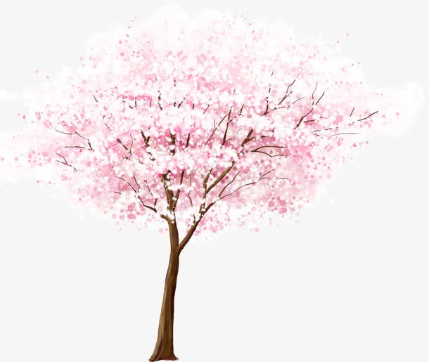 美丽的樱花树免抠