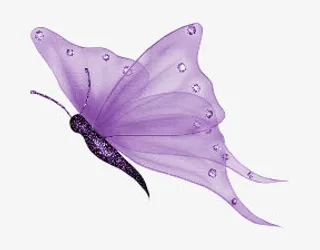 紫色蝴蝶免抠