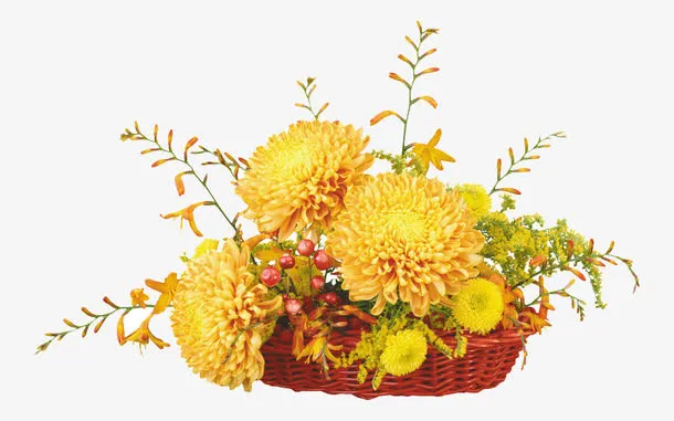 花篮免抠
