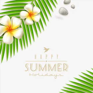 沙滩鸡蛋花矢量素材免抠