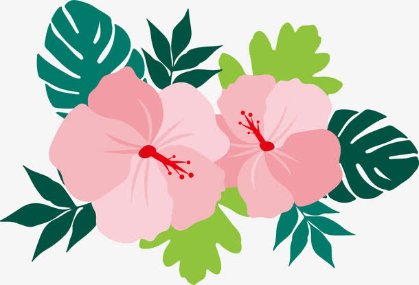 矢量图花朵免抠