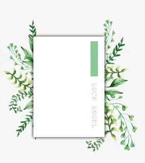 清新小文艺边框免抠