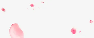 浪漫唯美玫瑰花瓣元素免抠