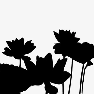 连片成群的荷花剪影免抠