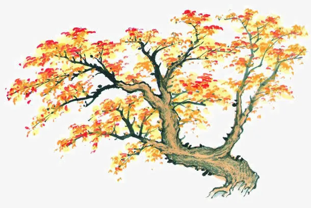秋天枫树手绘免抠