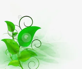 树叶藤蔓斜角边框免抠