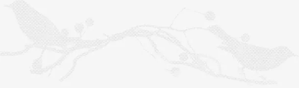 树枝免抠图片免抠