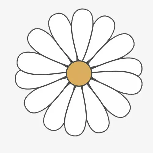 小雏菊 描边免抠