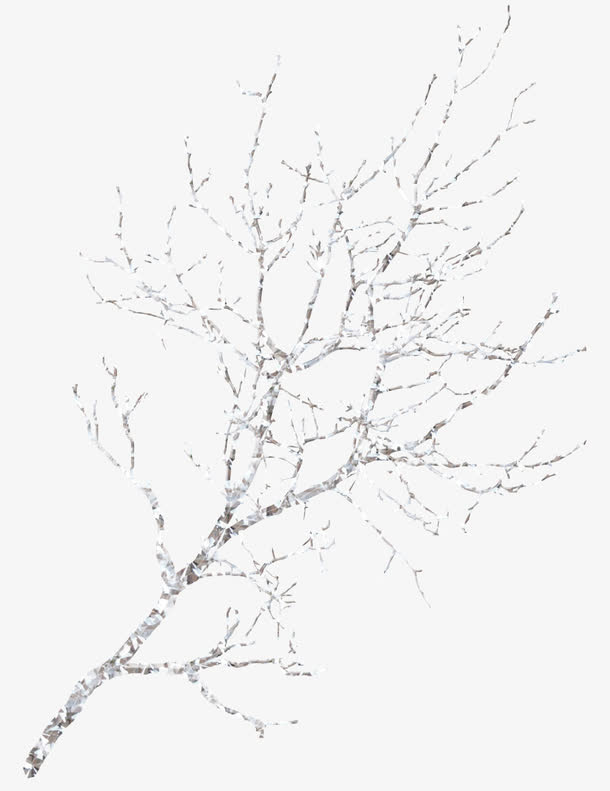 冰雪覆盖树枝免抠
