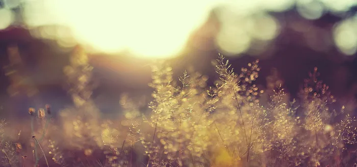 淘宝背景图高清