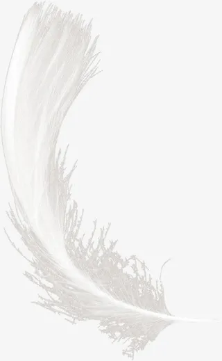 羽毛免抠