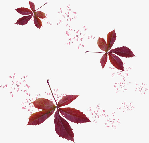 漂浮红色枝叶免抠