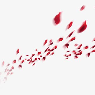 飘香花瓣免抠
