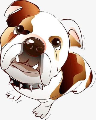 一只斗牛犬免抠