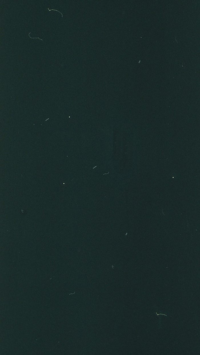 墨绿色质感H5背景高清