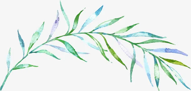 水彩树枝免抠