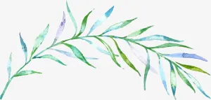 水彩树枝免抠