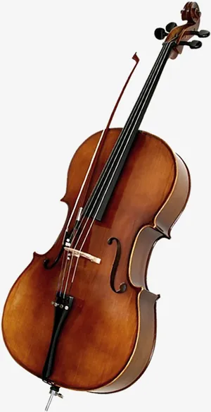 小提琴,音乐会,艺术家免抠 小提琴,音乐会,艺术家免抠